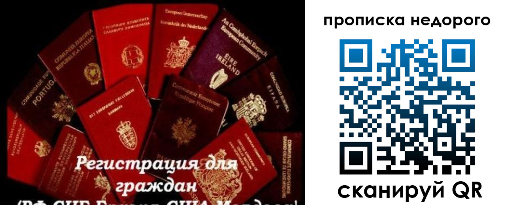 временная регистрация недорого в Бородино